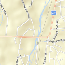 Oraș Târgu Bujor Street Map