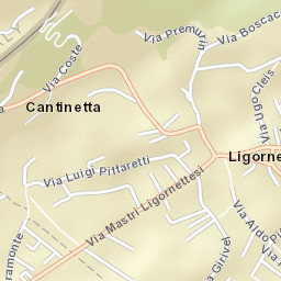 Ligornetto Street Map