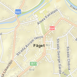 Oraş Fãget Street Map