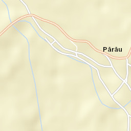 Pârâu Street Map