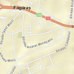 Municipiul Fãgãraş Street Map