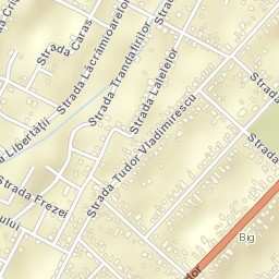 Comuna Dumbrăviţa Street Map