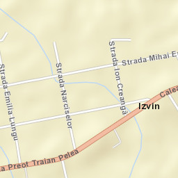 Izvin Street Map
