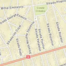 Recaş Street Map