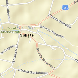 Sălişte Street Map