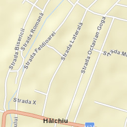 Hălchiu Street Map