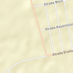 Movileni Street Map