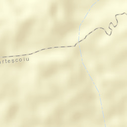 Broşteni Street Map
