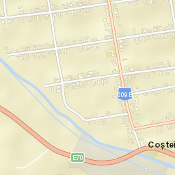 Coşteiu Street Map