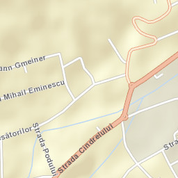 Cisnădie Street Map