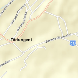 Comuna Tărlungeni Street Map