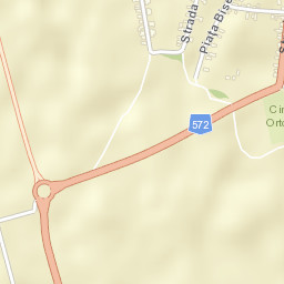 Oraş Buziaş Street Map