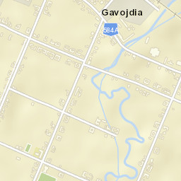 Gavojdia Street Map