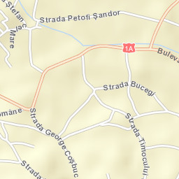 Municipiul Sãcele Street Map