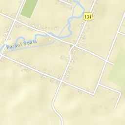 Comuna Gavojdia Street Map