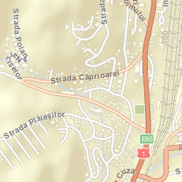 Predeal Street Map