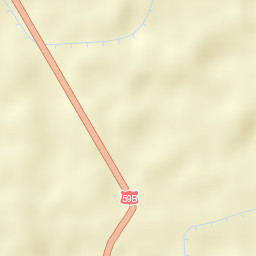 Comuna Foeni Street Map