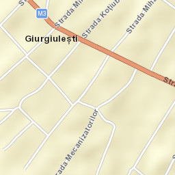 Giurgiuleşti Street Map