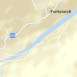 Furtunești Street Map