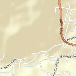 Nehoiu Street Map