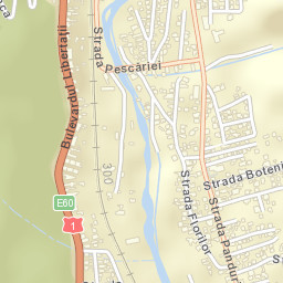Oraş Buşteni Street Map