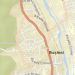 Poiana Țapului Street Map