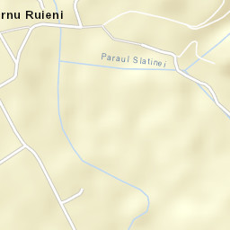 Turnu Ruieni Street Map