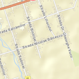 Bocşa Street Map