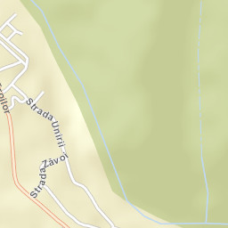 Brezoi Street Map