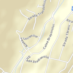 Trăisteni Street Map