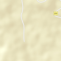 Nucşoara Street Map