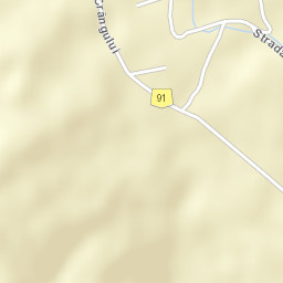 Burueneşti Street Map