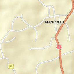 Mărunțișu Street Map
