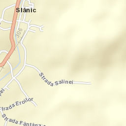 Oraş Slãnic Street Map