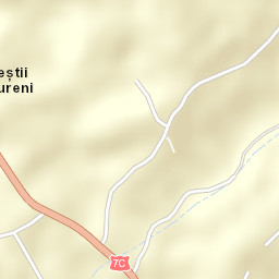 Albeștii Ungureni Street Map