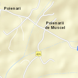 Poienari Street Map