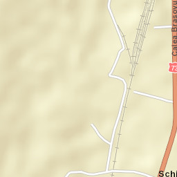 Schitu-Goleşti Street Map