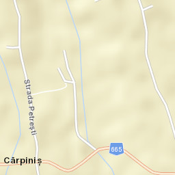 Cărpiniș Street Map