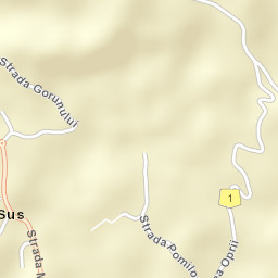 Cornu de Sus Street Map