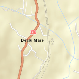 Dealu Mare Street Map
