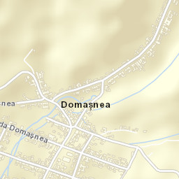 Domaşnea Street Map