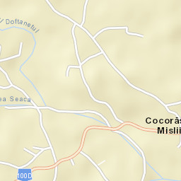 Cocorăștii Mislii Street Map