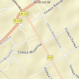 Alibunar Street Map