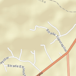 Copăcelu Street Map