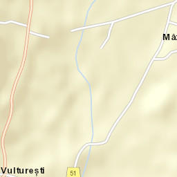 Vulturești Street Map
