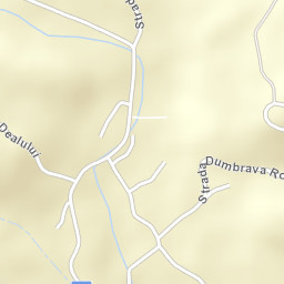 Dâmbu Street Map