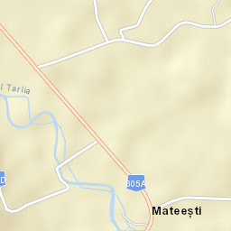 Turcești Street Map