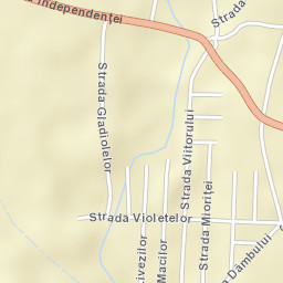 Țintea Street Map