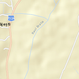 Băjești Street Map