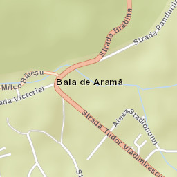 Baia de Aramă Street Map